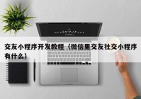 交友小程序開發(fā)教程（微信里交友社交小程序有什么）