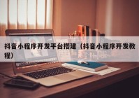 抖音小程序開發(fā)平臺搭建（抖音小程序開發(fā)教程）