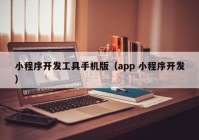 小程序開發(fā)工具手機(jī)版（app 小程序開發(fā)）