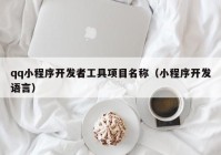 qq小程序開發(fā)者工具項目名稱（小程序開發(fā)語言）