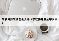 學(xué)軟件開發(fā)該怎么入手（學(xué)軟件開發(fā)從哪入手）