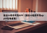 微信小程序開發(fā)APP（微信小程序開發(fā)appid在哪里看）